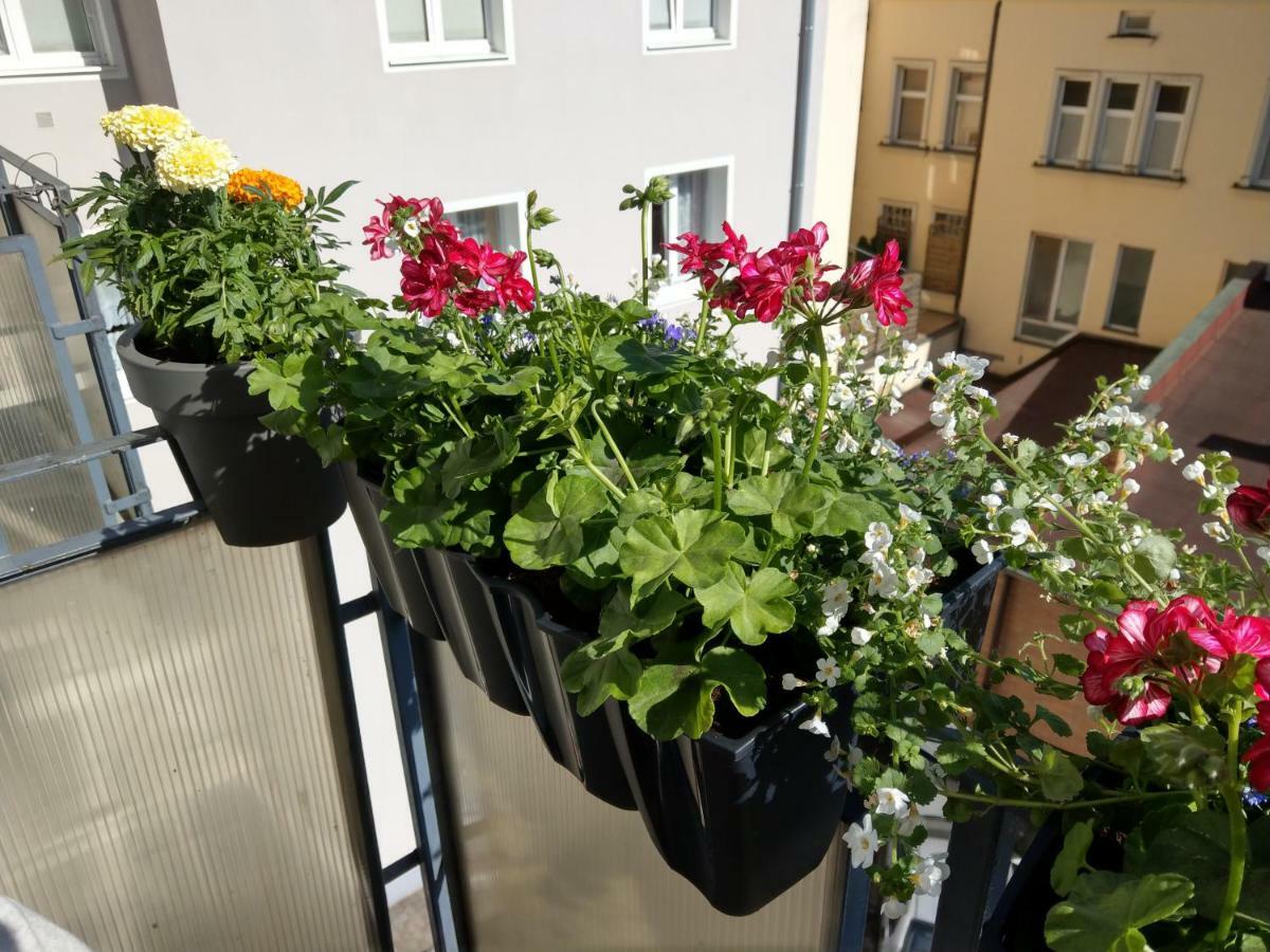 Bielski Apartment Danzig